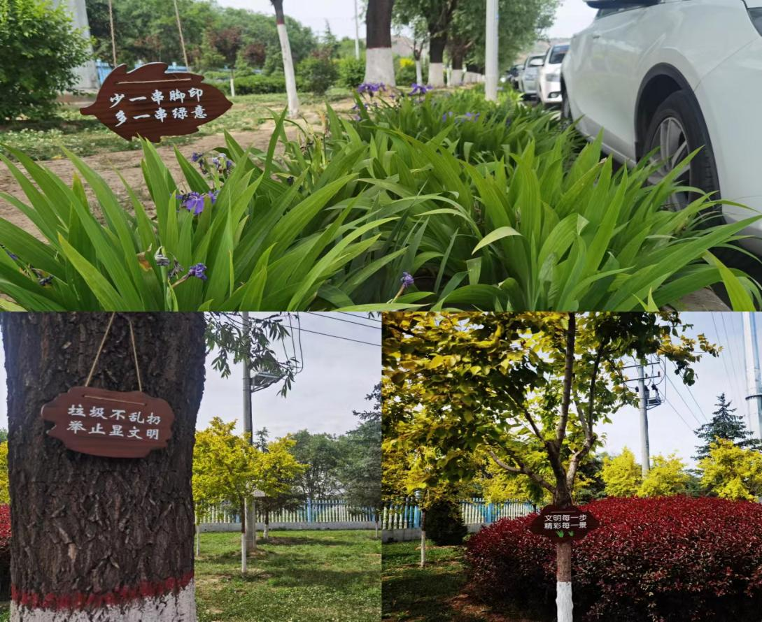 立足精細(xì)化管護 助推綠化水平提升(圖2) 立足精細(xì)化管護 助推綠化水平提升(圖2)