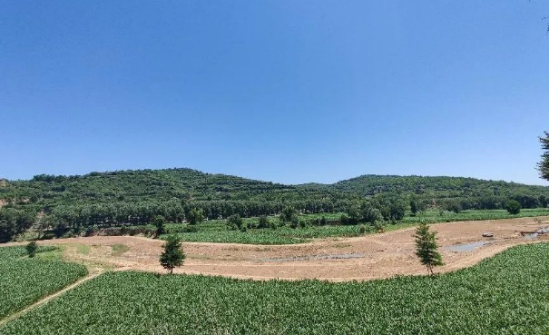 市產投集團上半年項目建設進展順利(圖12) 市產投集團上半年項目建設進展順利(圖12)